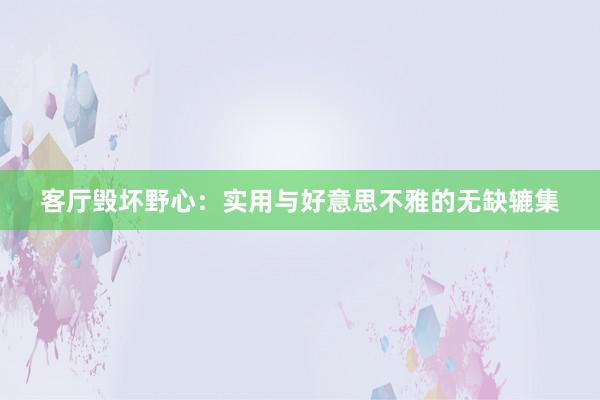 客厅毁坏野心：实用与好意思不雅的无缺辘集