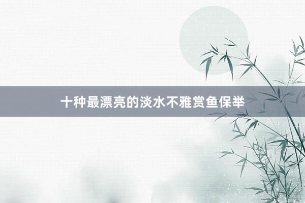 十种最漂亮的淡水不雅赏鱼保举